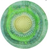 Andrea Mathis | Pfarre Sulz